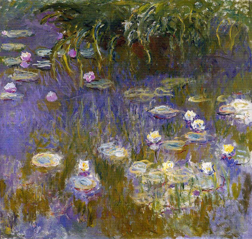 Water Lilies Toledo